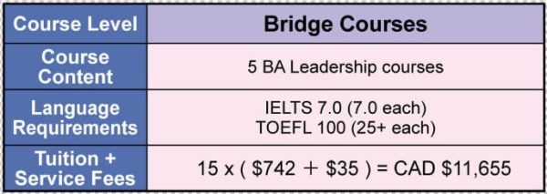 Bridge Courses Cost 